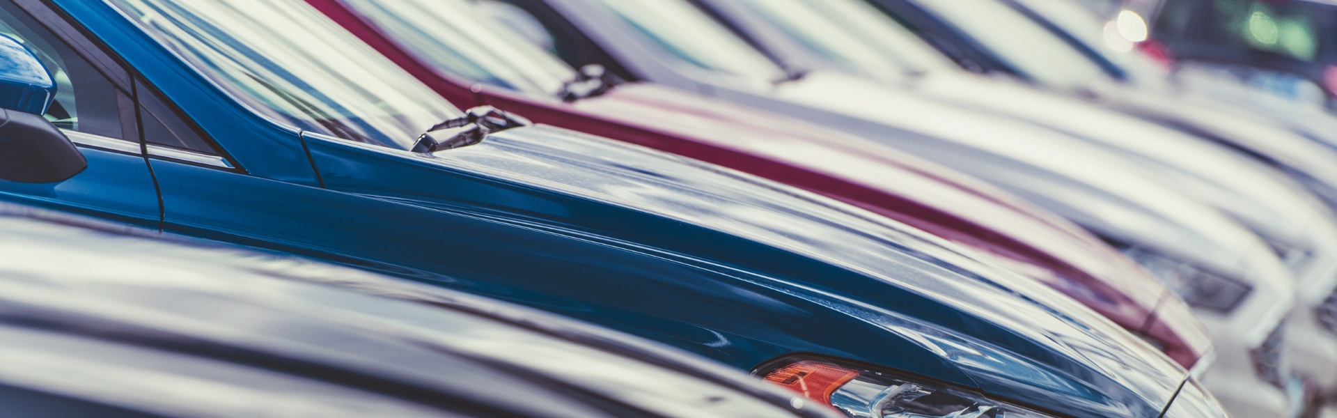 Business and Fleet
