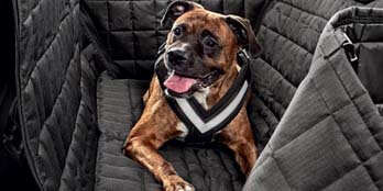 Rear Passenger Seat Protection