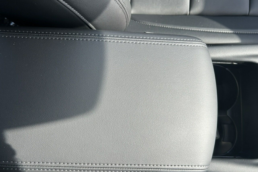 2025 GWM Cannon NPW Lux Ute