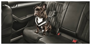 Dog Seatbelt (Small)