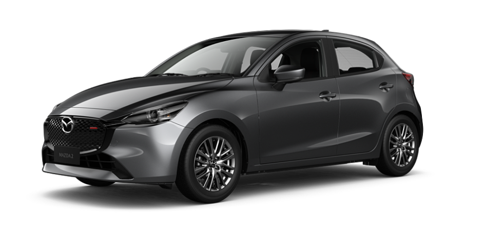 Machine Grey Metallic
