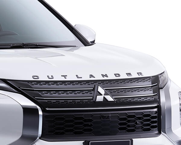 Hood emblem, Black 
