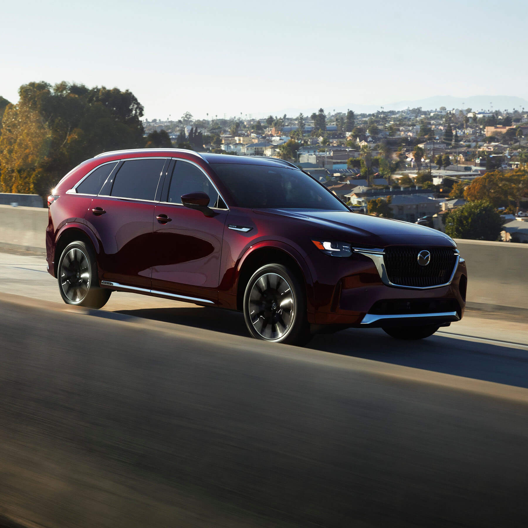 Mazda Premium Car Care Full Vehicle