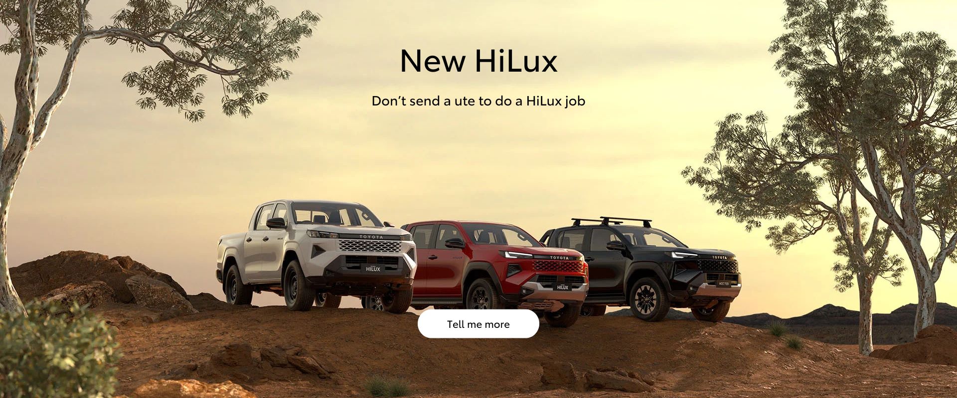Dont send a ute to do a HiLux job.