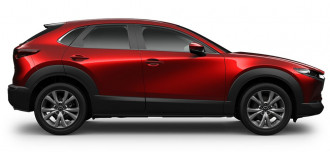 2021 MY22 Mazda CX-30 DM Series G20 Evolve Suv image 10