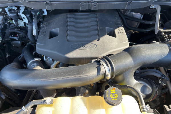 2023 Ford F-150 Tw.Turbo XLT Ute Image 16