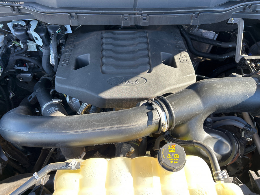 2023 Ford F-150 Tw.Turbo XLT Ute Image 16