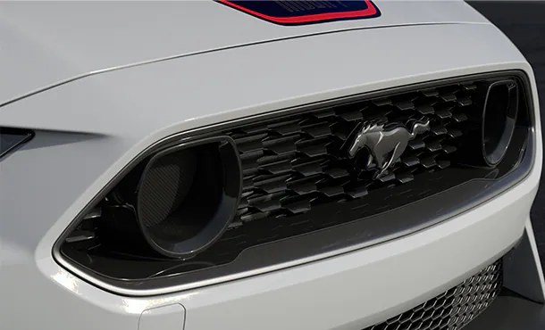 Front Grille Image