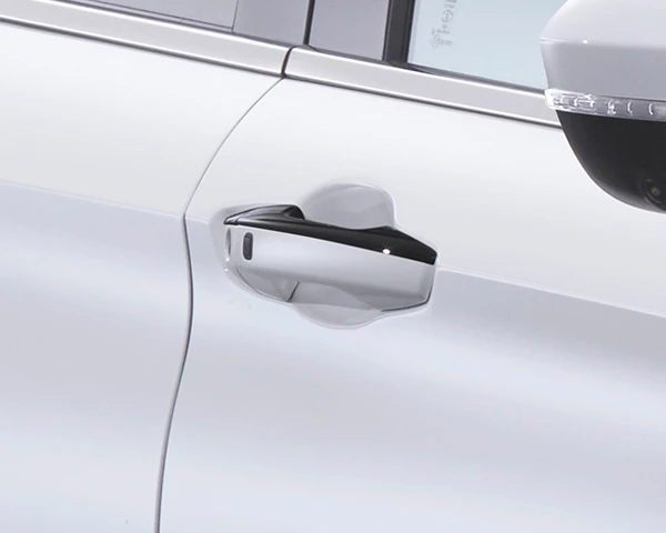 Door handle accent, Black