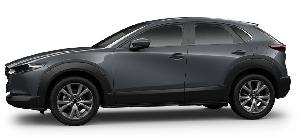 2021 Mazda CX-30 DM Series G20 Evolve Wagon Image 22