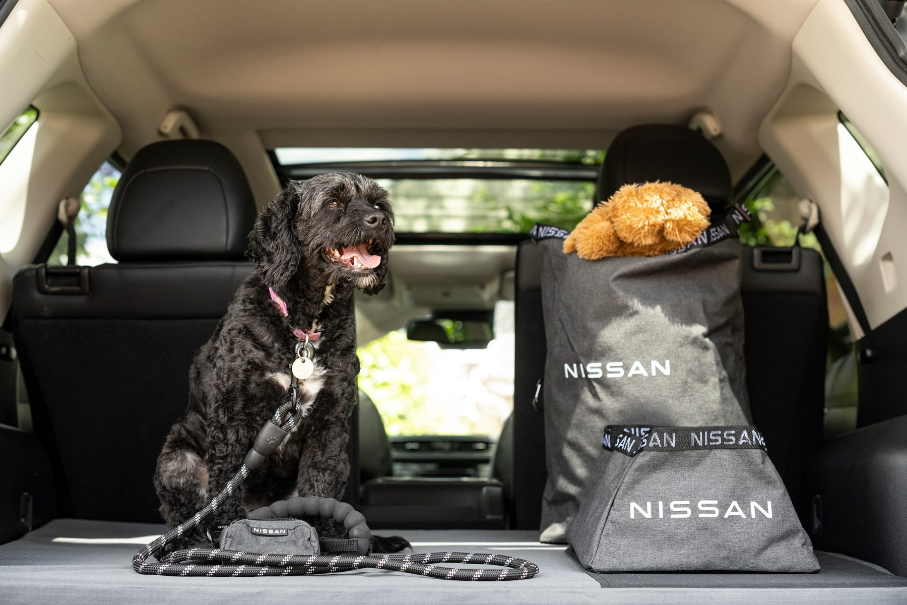 RUFF-ROAD READY: New Nissan Dog Pack Makes Bringing Your Furry Friend A Walk In The Park