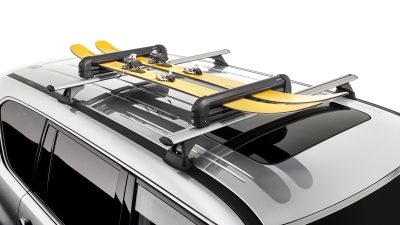 <img src="SKI/SNOWBOARD CARRIER