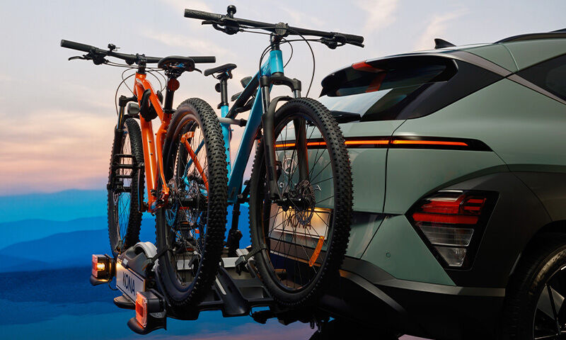 2 bike carrier