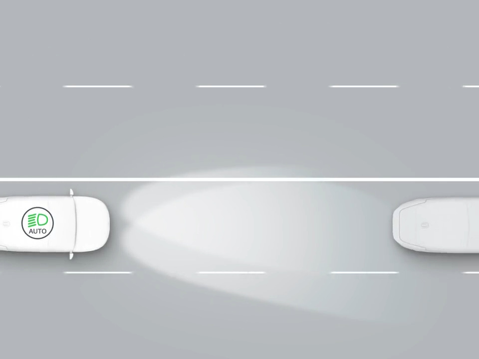 High Beam Assist*