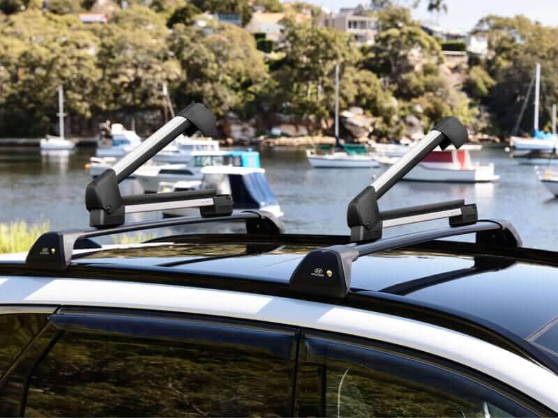 Ski & snowboard carrier
