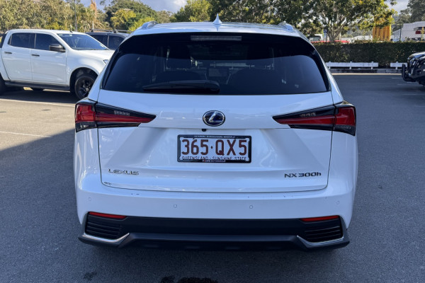2018 Lexus NX AYZ10R NX300h Luxury SUV Image 9