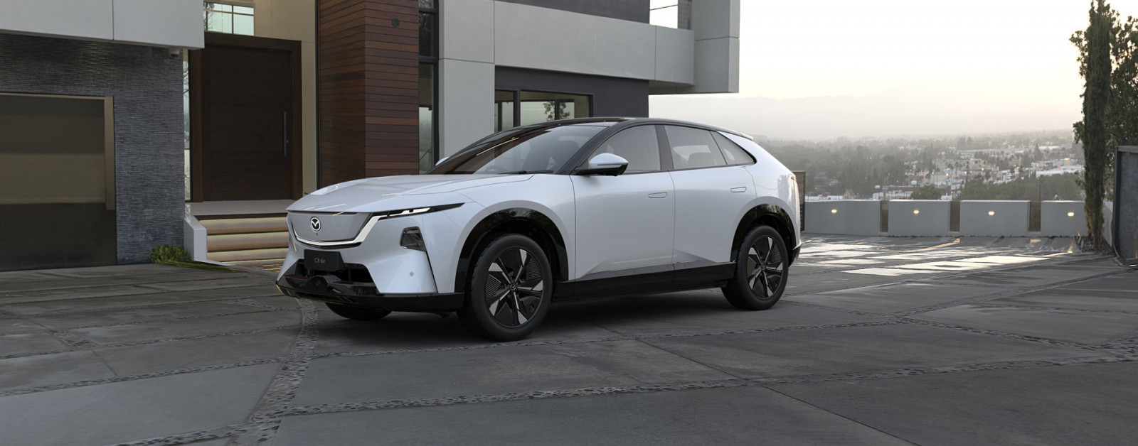 CX-6e