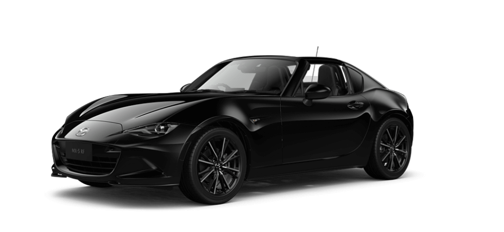 Jet Black Mica