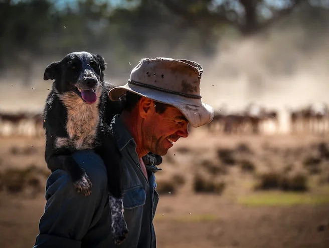 Farming Image