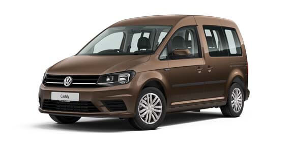 Chestnut Brown Metallic