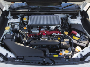 Heavyweight Boxer engine Image