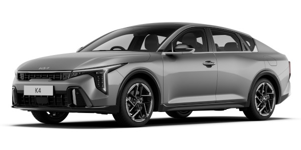 Steel Grey
