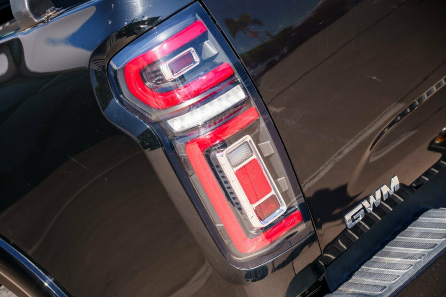 2022 GWM Ute NPW Cannon-X Ute Image 7