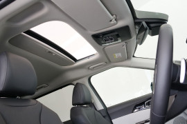 2021 Kia Carnival YP Platinum Wagon