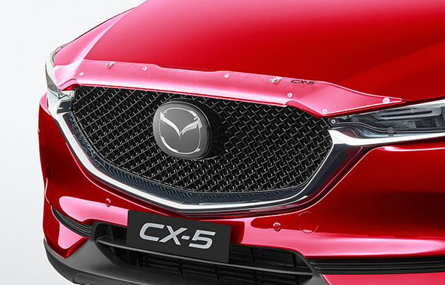 Clear bonnet protector