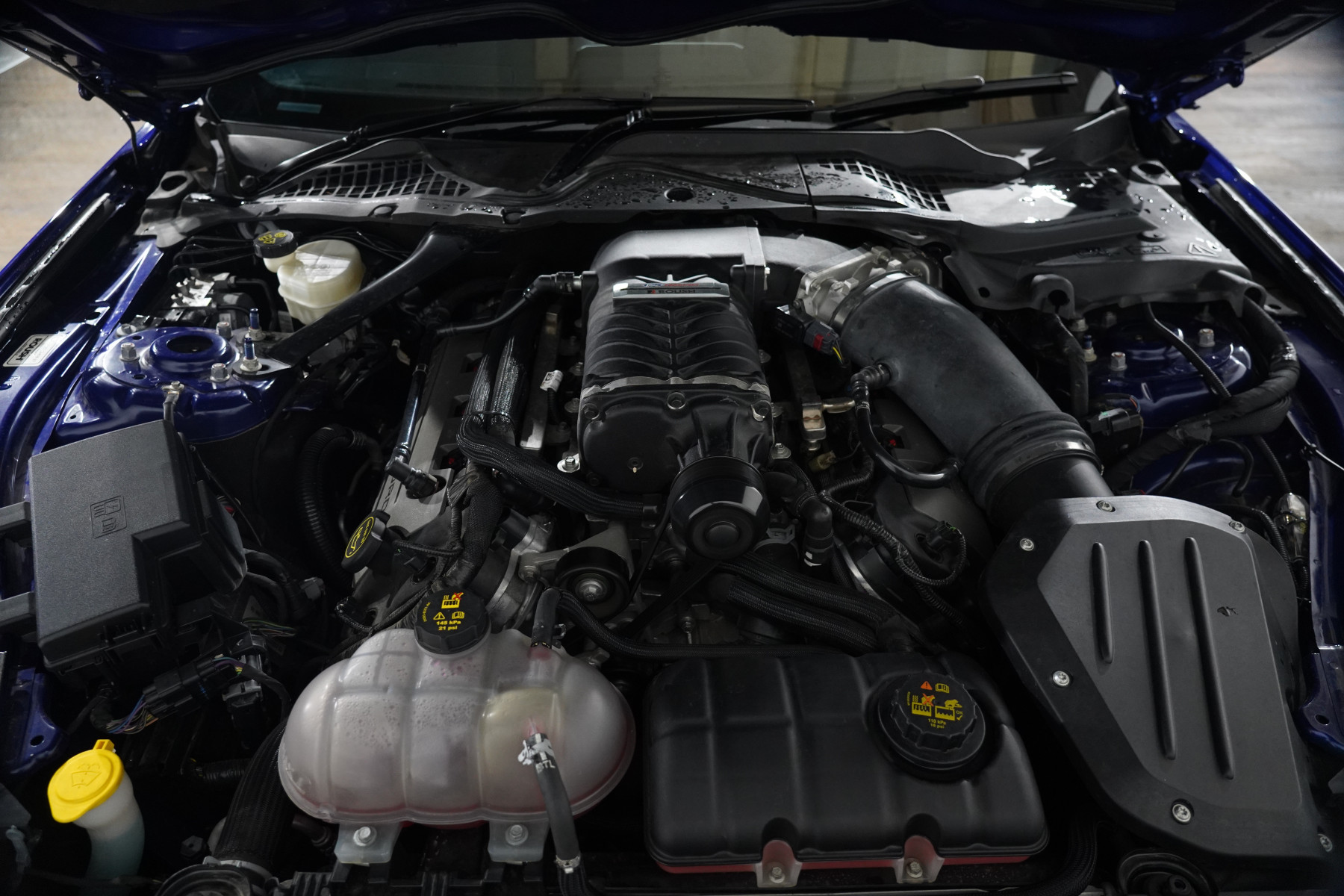 2016 Ford Mustang Fastback Gt 5.0 V8 Coupe Image 28